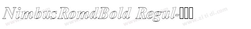 NimbusRomdBold Regul字体转换